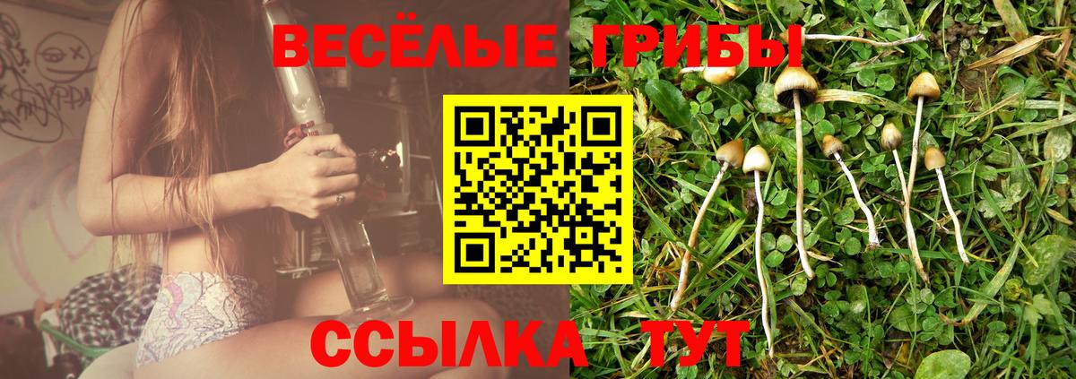 Мончегорск  Галлюциногенные грибы GOLDEN TEACHER  Вход с VPN 