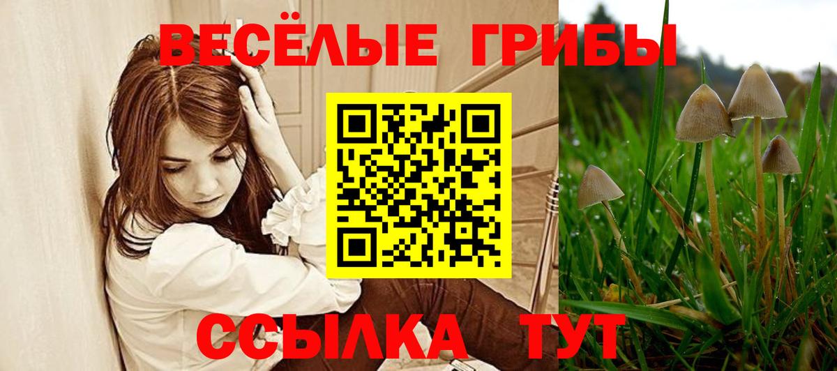 Псилоцибиновые грибы ЛСД Мончегорск