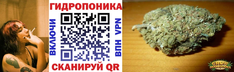 MEGA как зайти  Мончегорск  Марихуана план  где купить  